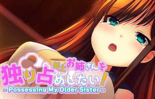 熟女たちとハードエロプレイするエロゲのスイッチ版『年上お姉さんを独り占めしたい！』