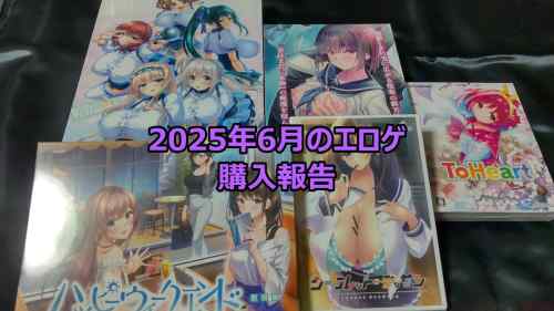 2025年6月のエロゲ：購入報告