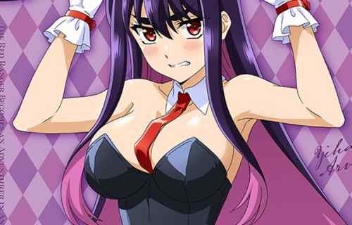 『戦隊レッド 異世界で冒険者になる』イドラ・アーヴォルンのえっちなバニー姿のエログッズ！