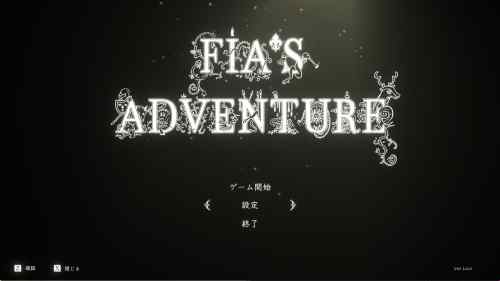 FIA'S ADVENTURE レビュー・感想