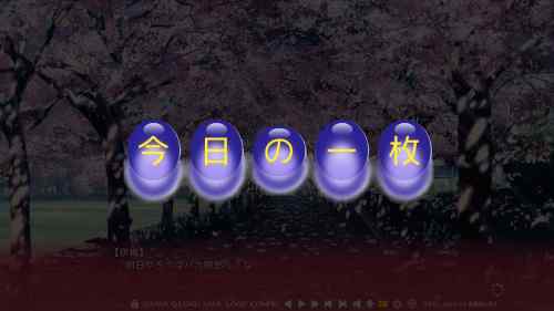 今日の一枚（#004）