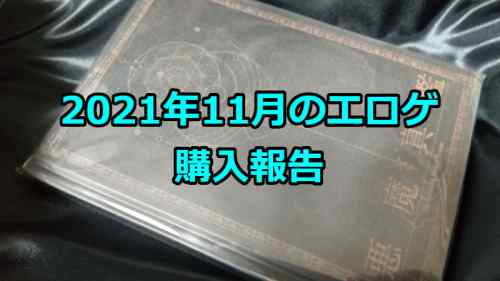 2021年11月のエロゲ：購入報告