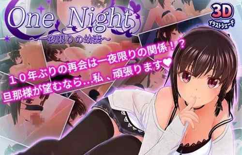 3Dモデルのエロゲで公園でえっちやいろんなえっちし放題『One Night～一夜限りの幼妻～』