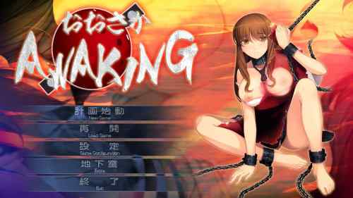大阪AWAKINGをプレイした感想