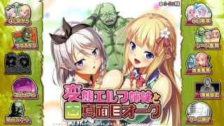 変態エルフ姉妹と真面目オークをプレイした感想