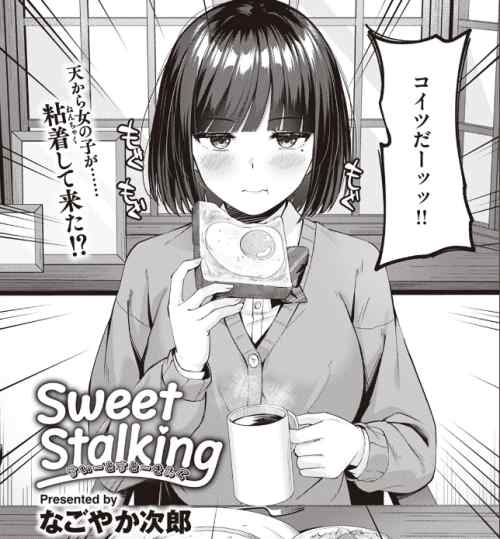 おかっぱ巨乳JKが抜ける　Sweet Stalking　感想・レビュー