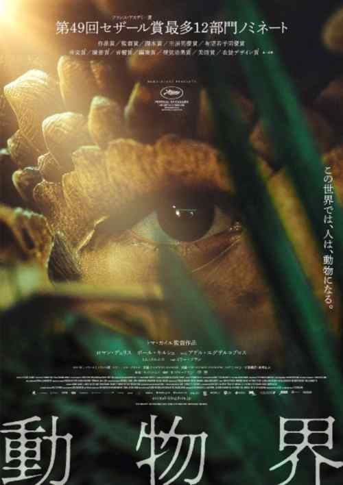 動物界 感想