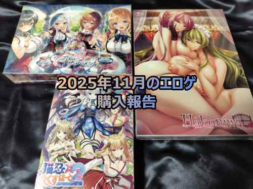 2025年11月のエロゲ：購入報告